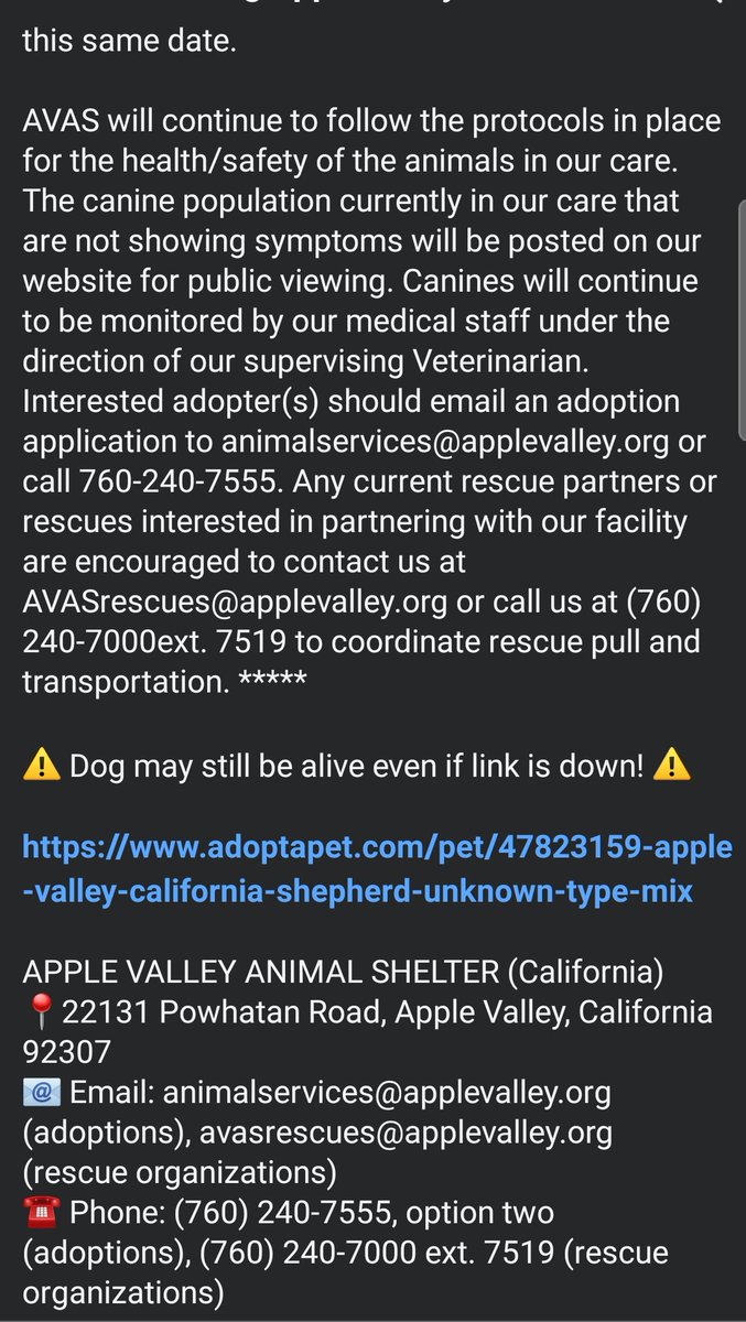 itsadogslifersq's tweet photo. BUDDIE #238197
6yo.#pitbull
Adopted as a puppy, now dumped. I sound like a broken record, but this has become a new standard on the worst scale. An ugly reality for countless good dogs.
Can you #foster sweet Buddie to save him, even if you live a few hours around #AppleValley? https://t.co/AOLpStQR8Q