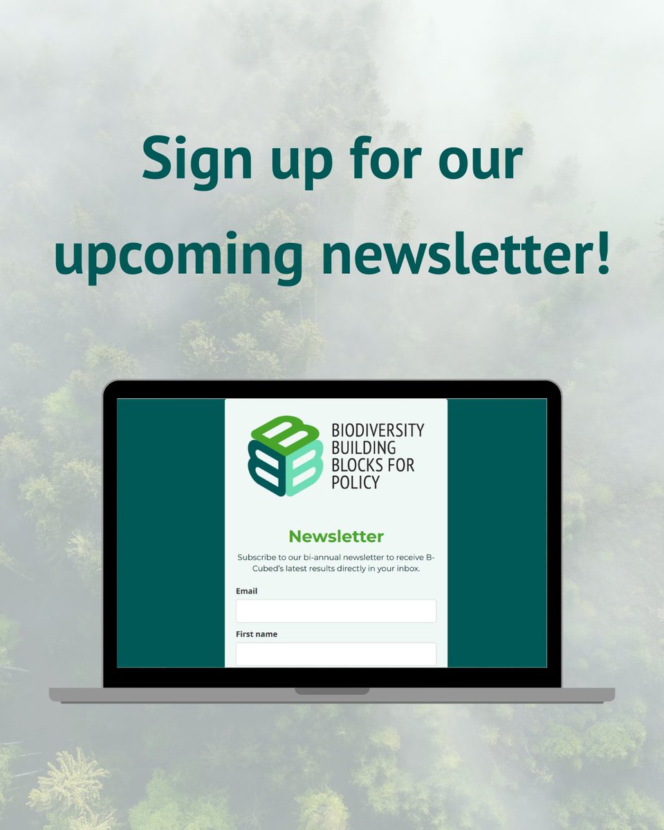 BCubedProject's tweet photo. The next issue of our newsletter is coming soon... 👀
👉 Subscribe now to receive the latest B-Cubed results and highlights directly on your email
🔗https://t.co/7oYX68RzHm https://t.co/fHsHPQfaDD