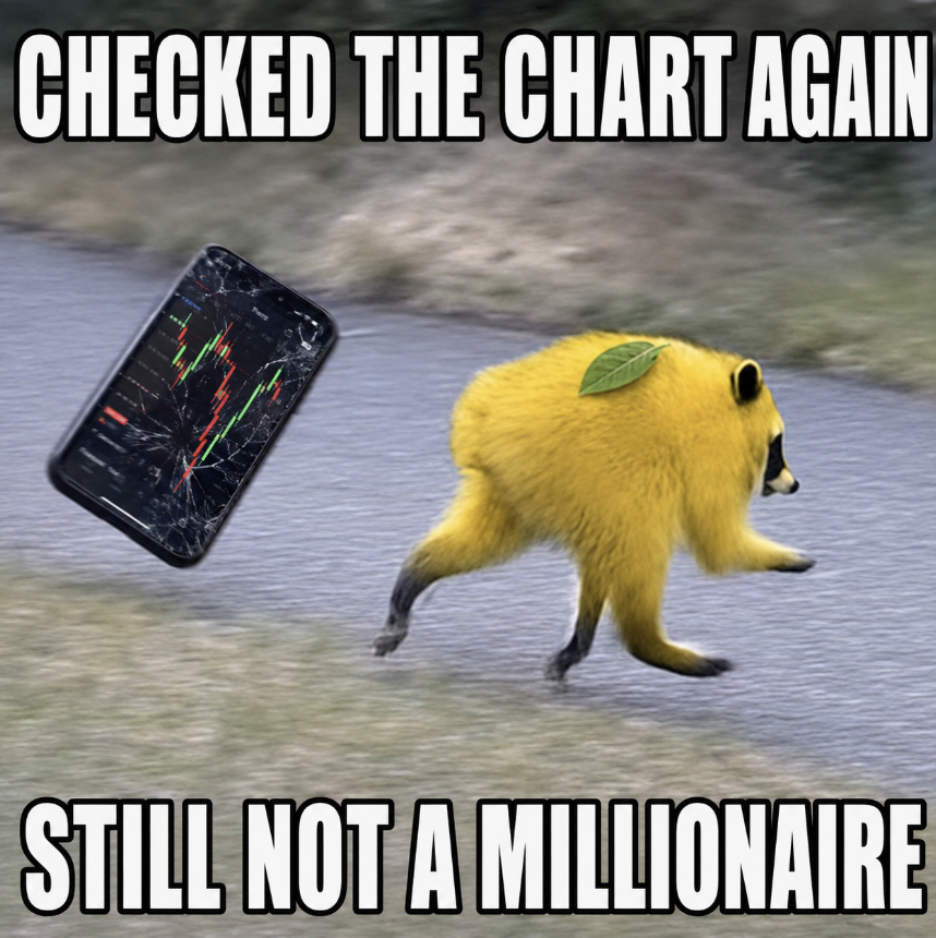 Lemonthy The Raccoon tweet media
