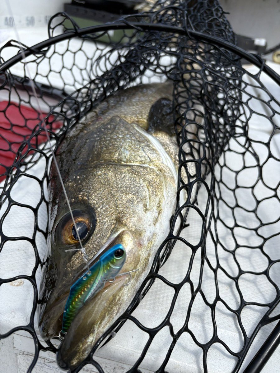 BaitBreath ベイトブレス (@bait_breath) / Posts / X
