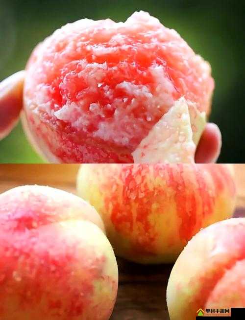 Peggy1228387's tweet photo. Just had the best post-hike snack: a cold, juicy peach that tasted like pure summer sun! https://t.co/a5jZcQVG7a