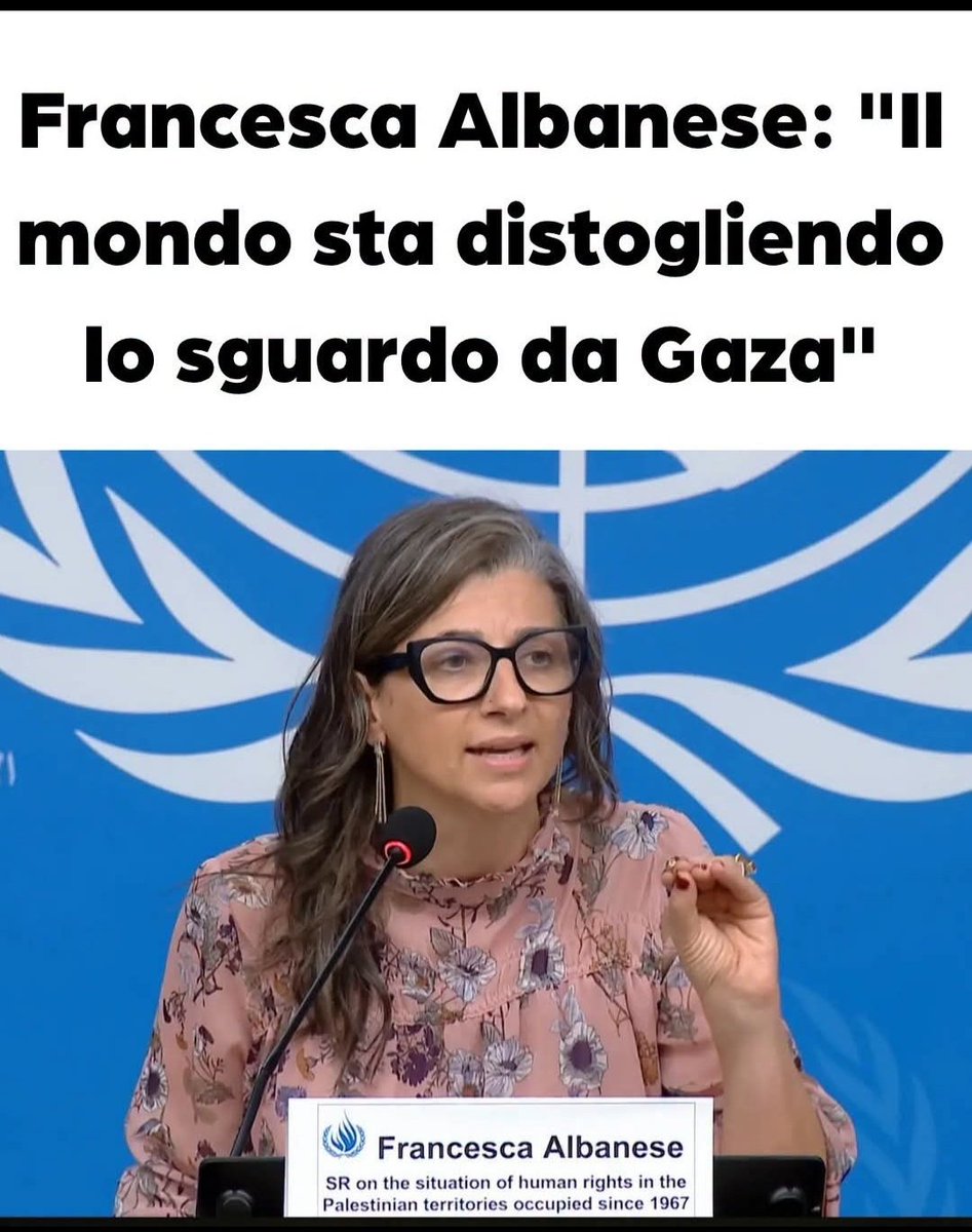 BracaliM's tweet photo. In #Europa e specialmente in #Italia governi complici di #Israël, stato terrorista, stanno cercando di occultare il #genocidio che ancora in queste ore in questi giorni è in corso a #Gaza. #governoMeloni #governodellavergona #Gazagenocidio #israelterroriststate https://t.co/4LqGE1nbSf