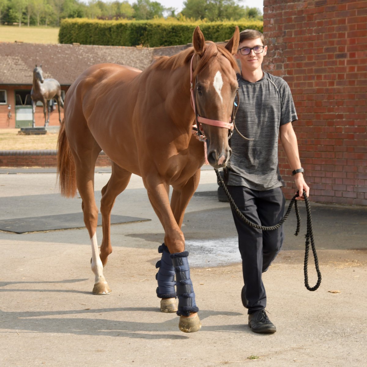 whatcomberacing's tweet photo. Honky Tonk Girl (Dream Ahead ex Cheap Thrills) contests the EBF Maiden Fillies' Stakes (3.15 p.m.) at Nottingham today. She’s fit and well. Jockey Saffie Osbourne rides her in this 6-furlong race. (Pic. Heading for the horsebox this morning.) https://t.co/2KxLjwqlhM
