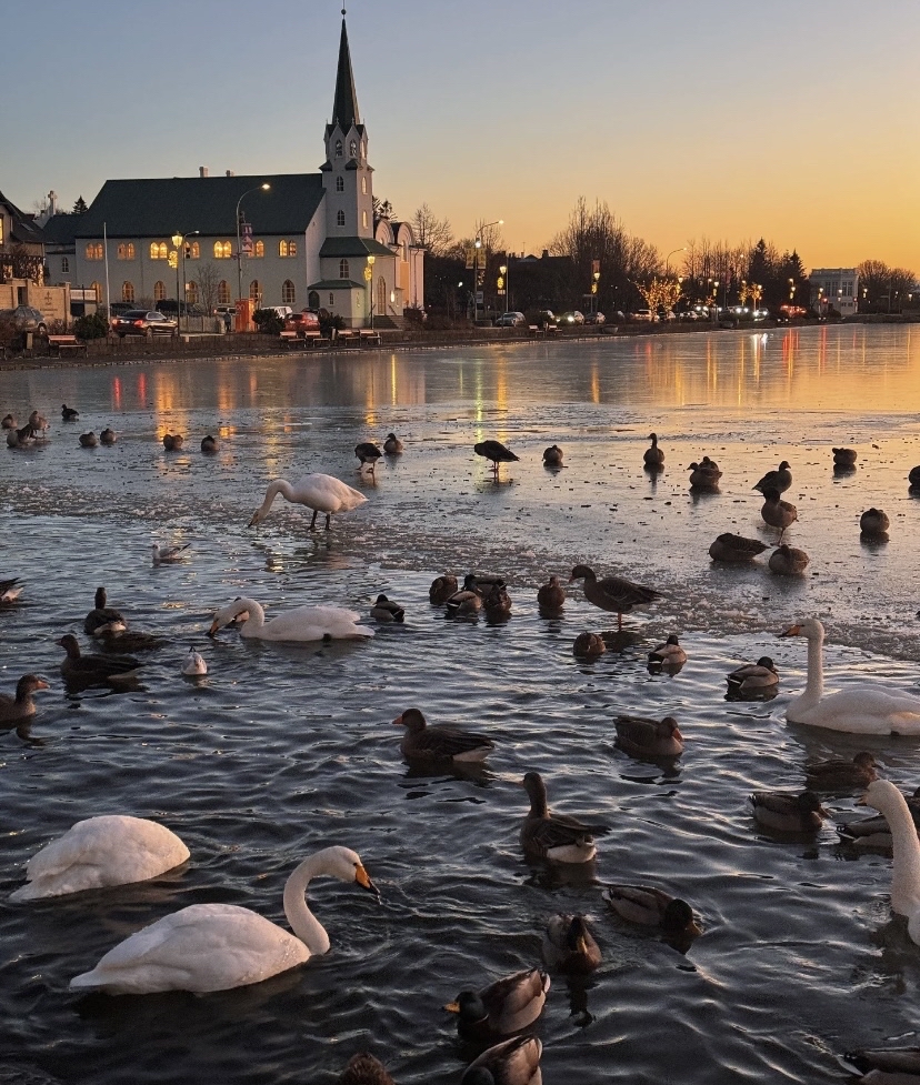 abbo0913's tweet photo. New to photography Start with mastering light! Natural golden hour (1hr after sunrise/before sunset) is perfect for warm, soft shots – no fancy gear needed, just your phone! https://t.co/Ieiv8m2CUf