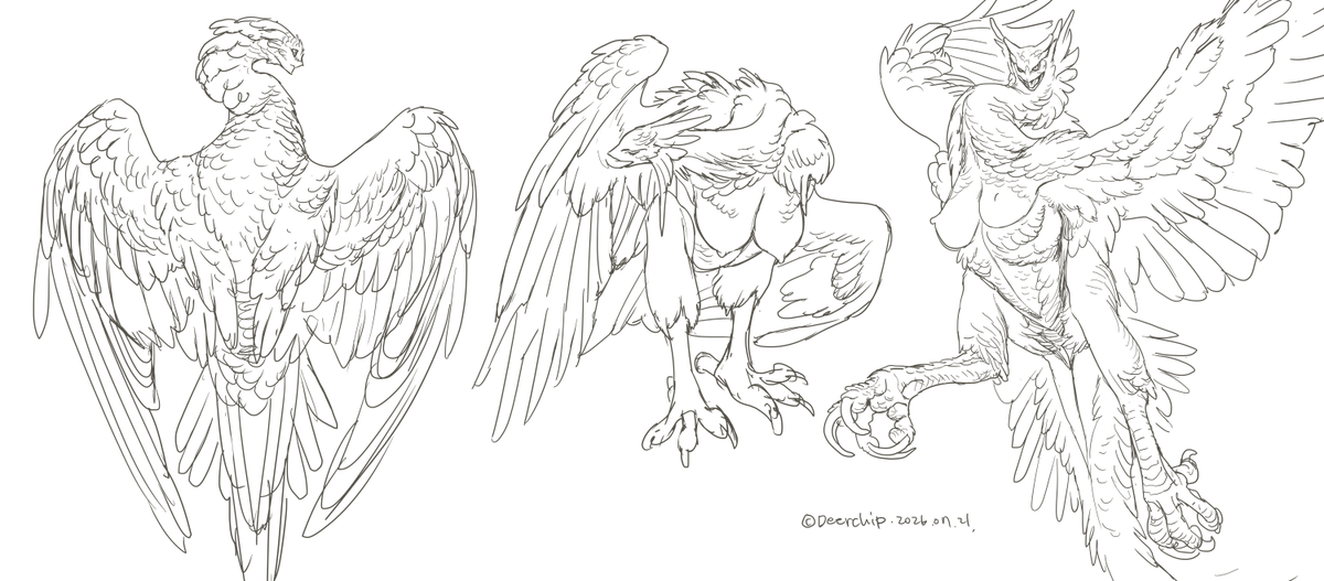 deerchip_jung's tweet photo. Harpy https://t.co/edk2W4LFY3