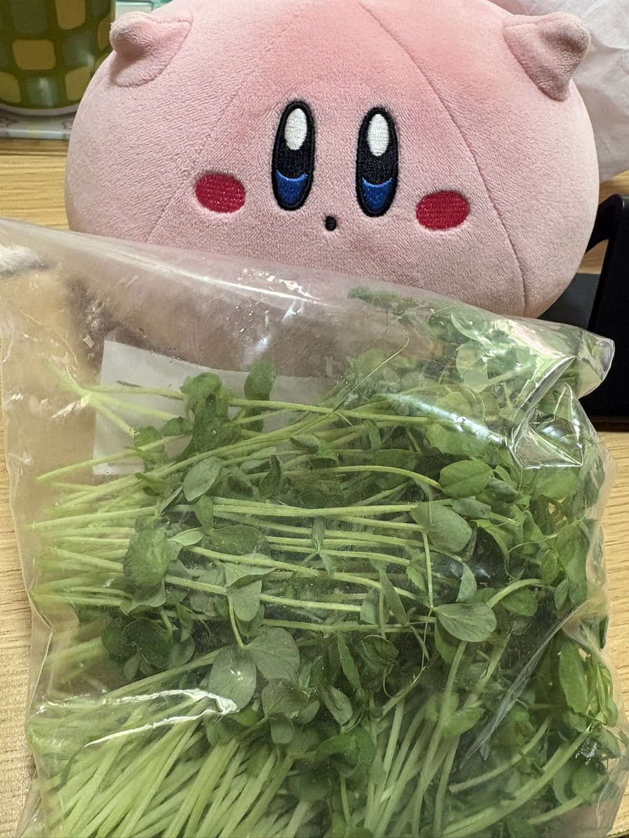 ルッピー2/O.K.Forest (@ruppi1122hanhan) / Posts / X