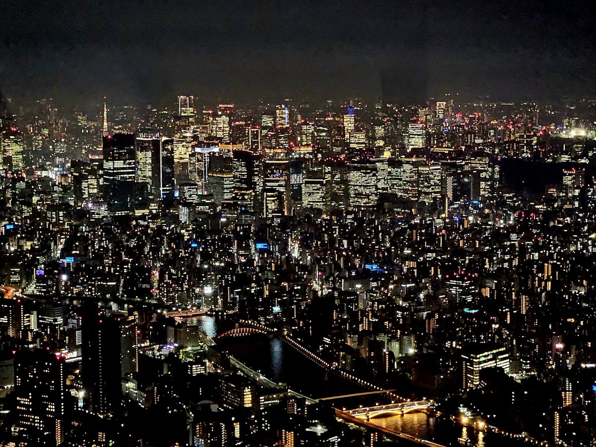 TempleKnightZip tweet picture