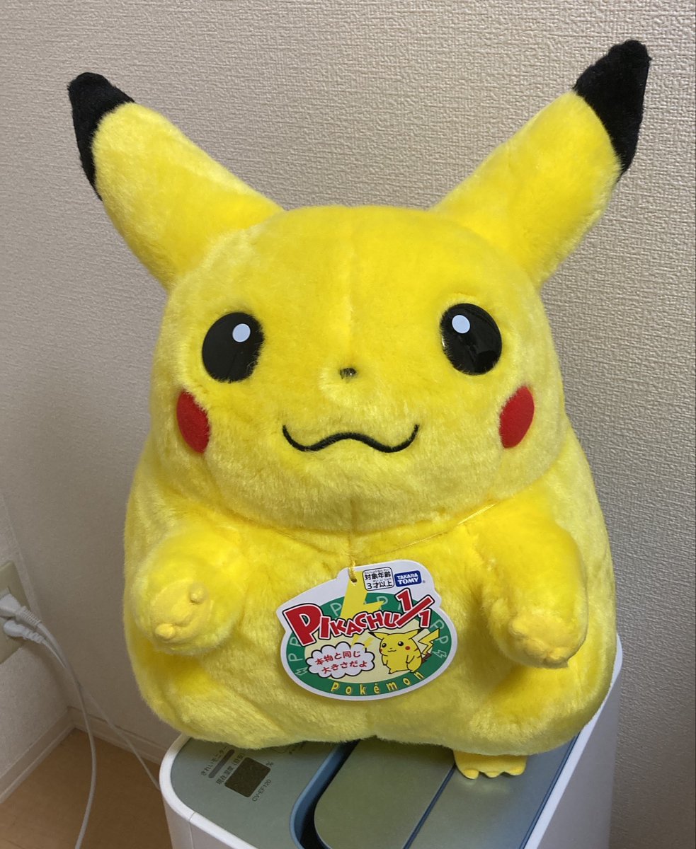 counagodes's tweet photo. おおよそ30代独身男性の部屋に似つかわしく無いものが届いた https://t.co/gwQpKp2YAJ