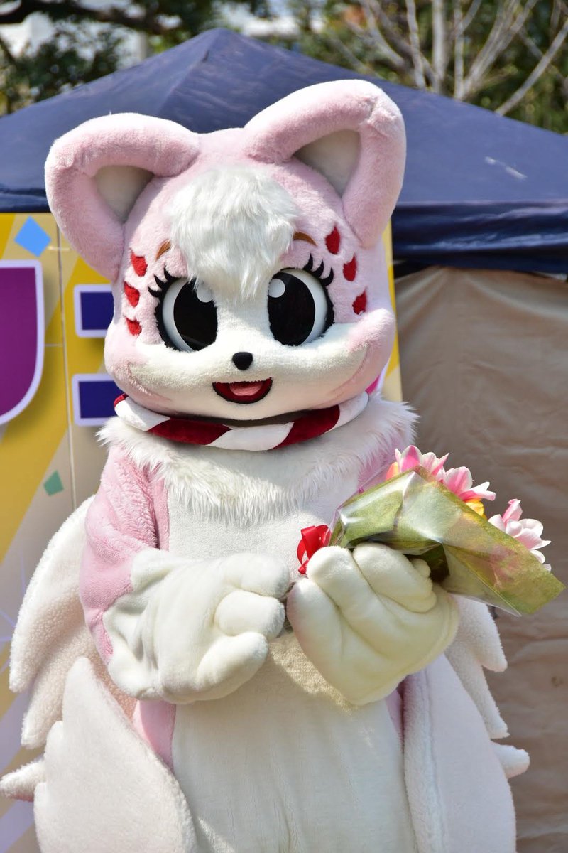 shibasaki_saki tweet picture