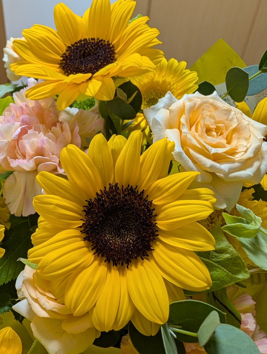 _izu_izu's tweet photo. 誕生日プレゼントにあたしをイメージしたお花をいただきました🌻
お花のプレゼントって中学以来だから新鮮で心が温かくなりました✨
そして誕生日は友達特製の大人のお子様ランチ。
胃を破壊されるレベル笑
いくつになってもお祝いされるのは嬉しいですね🫂 https://t.co/9Msz0LcFFM