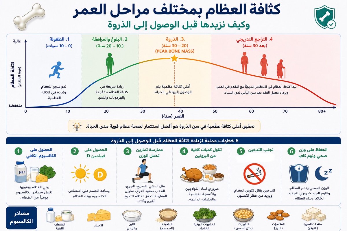 EndocrineMBD's tweet photo. ارفع رصيد عظامك اليوم… حتى يكون عونًا لك بعد الله في الوقاية من هشاشة العظام مستقبلًا.

هل تعلم أن بناء العظام ليس عملية تستمر طوال العمر؟

يصل الإنسان إلى أعلى كثافة عظمية (Peak Bone Mass) في مرحلة محددة من حياته، ثم يبدأ بعدها الفقدان التدريجي للعظام مع التقدم في العمر.

لذلك، فإن كل زيادة في هذا “الرصيد” اليوم قد تقلل من خطر الهشاشة والكسور بعد سنوات طويلة.

🦴 تعرّف في هذه الإنفوجرافيك على رحلة كثافة العظام عبر العمر، وأهم الخطوات العملية لبناء أقوى رصيد ممكن قبل الوصول إلى الذروة.
#osteoporosis 
#عيادة_أمراض_العظام_الأيضية 
#هشاشة_العظام #صحة_العظام