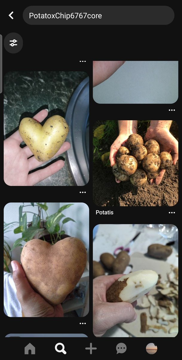 PotatoxChip6767's tweet photo. User + core on pinterest but my user isn't aesthetic https://t.co/zxRmcInQsz