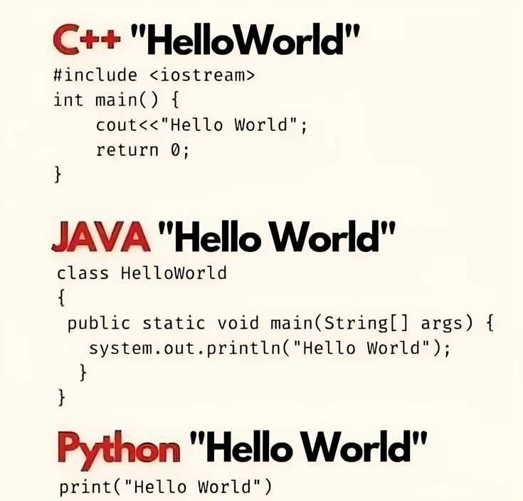 PythonPr's tweet photo. What's Your favorite langage? 💻✅ https://t.co/cUAEwoi3zw