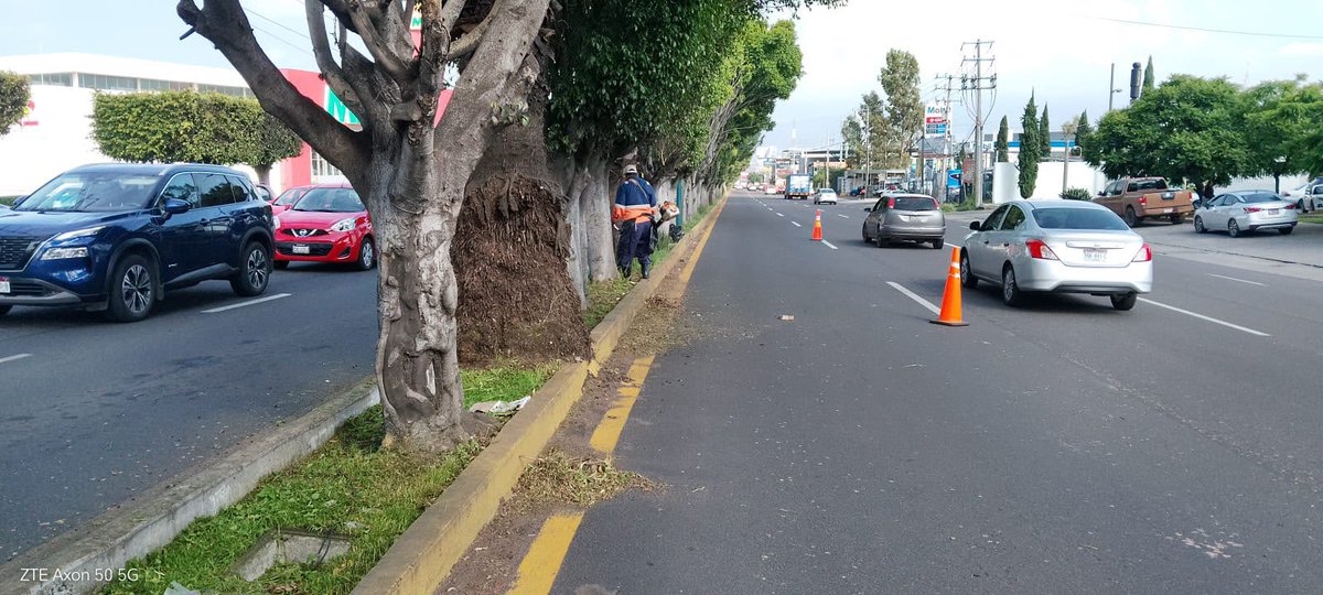 AlfonsoMtz_Mx's tweet photo. 🍃 🧹 Las brigadas continúan realizando acciones de limpieza y mantenimiento en el Libramiento Sur, a fin de mejorar la imagen urbana, fortalecer la seguridad vial y ofrecerle a la ciudadanía espacios públicos en buenas condiciones.

#MoreliaBrillaMás✨ https://t.co/AbIsG9JF3s