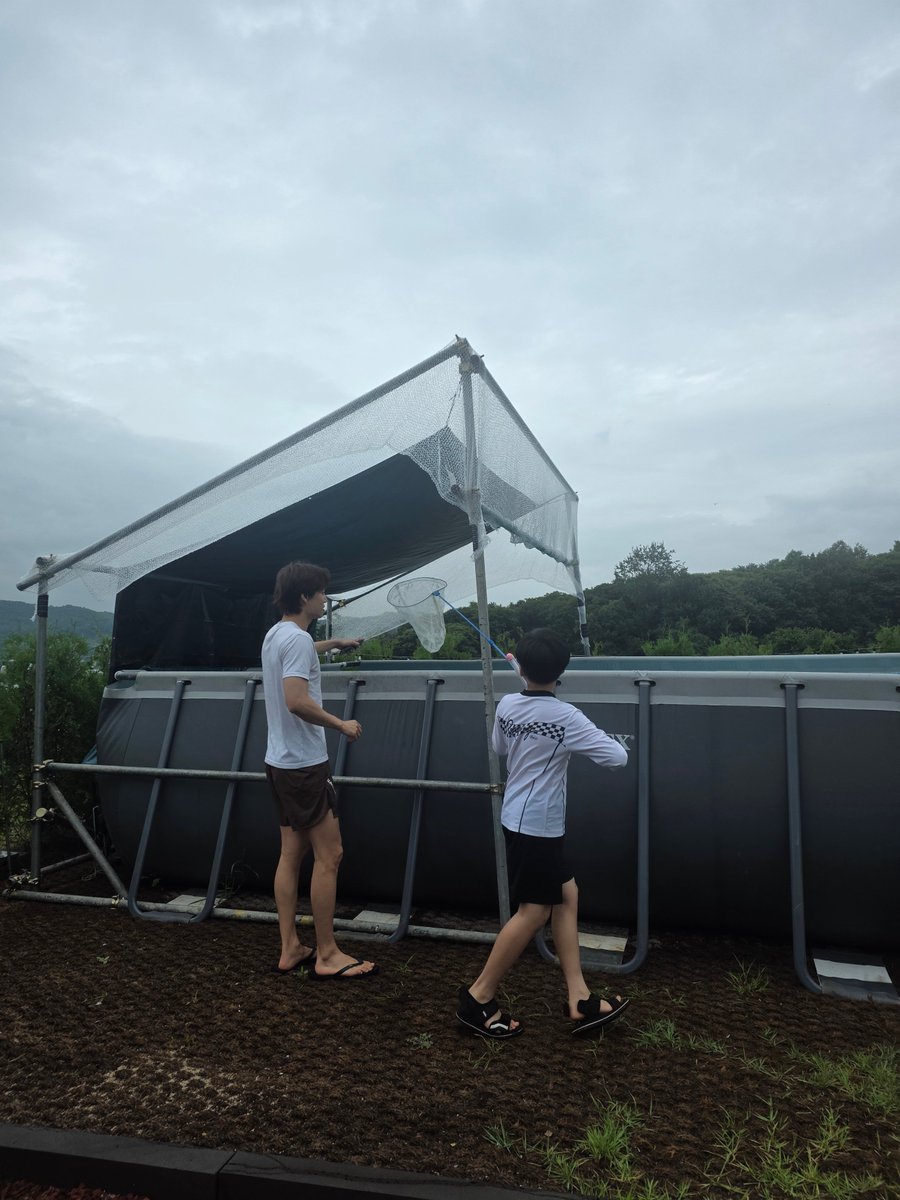 wind9401's tweet photo. 이 하리보가 이만큼 컸다니 진짜 안 믿긴다 https://t.co/KAn0uvaklt