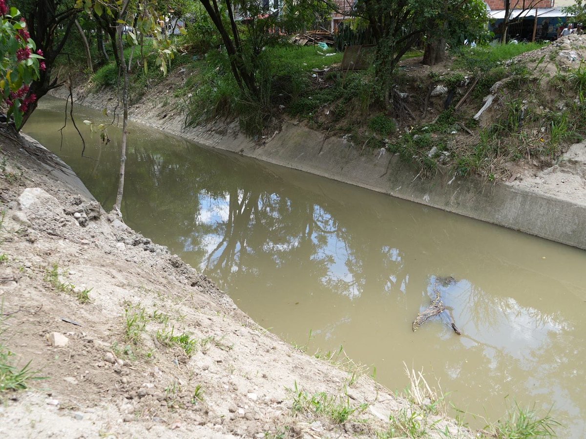 AlcaldiadeBello's tweet photo. 🚧 La Alcaldía de Bello avanza en la recuperación de la quebrada El Barro, en Valadares, con un 82 % de ejecución. A la fecha se han intervenido 380 metros del cauce para mejorar su capacidad hidráulica y reducir el riesgo ante futuras temporadas de lluvias. https://t.co/hmY7Ad1kF6