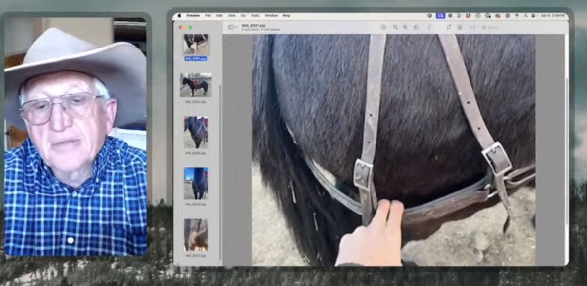 muleranch's tweet photo. We could all use a refresher this time of year, both for mule and donkey training and beating the summer heat.

So grab a refreshing drink and join Ask Steve today at 3 PM Arizona time on Facebook Live.

See you then!
https://t.co/jQWjZe6cJz https://t.co/2EPJsfJcA5
