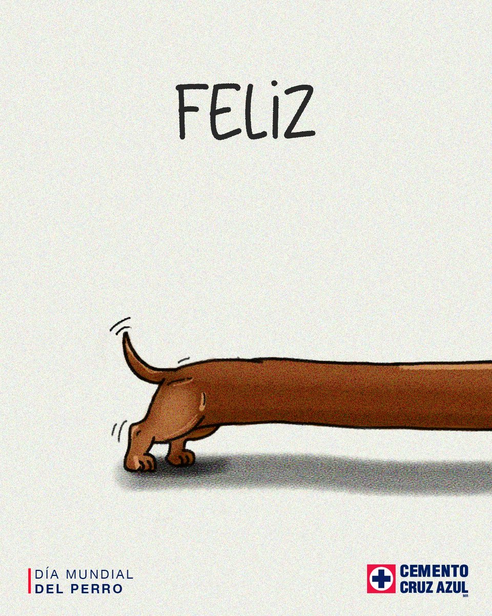 soycruzazulito's tweet photo. Etiqueta a quien siempre se detiene a saludar perritos. 🐶💙

#𝗦𝗼𝘆𝗖𝗿𝘂𝘇𝗔𝘇𝘂𝗹𝗶𝘁𝗼 https://t.co/BTYLSOh9r7