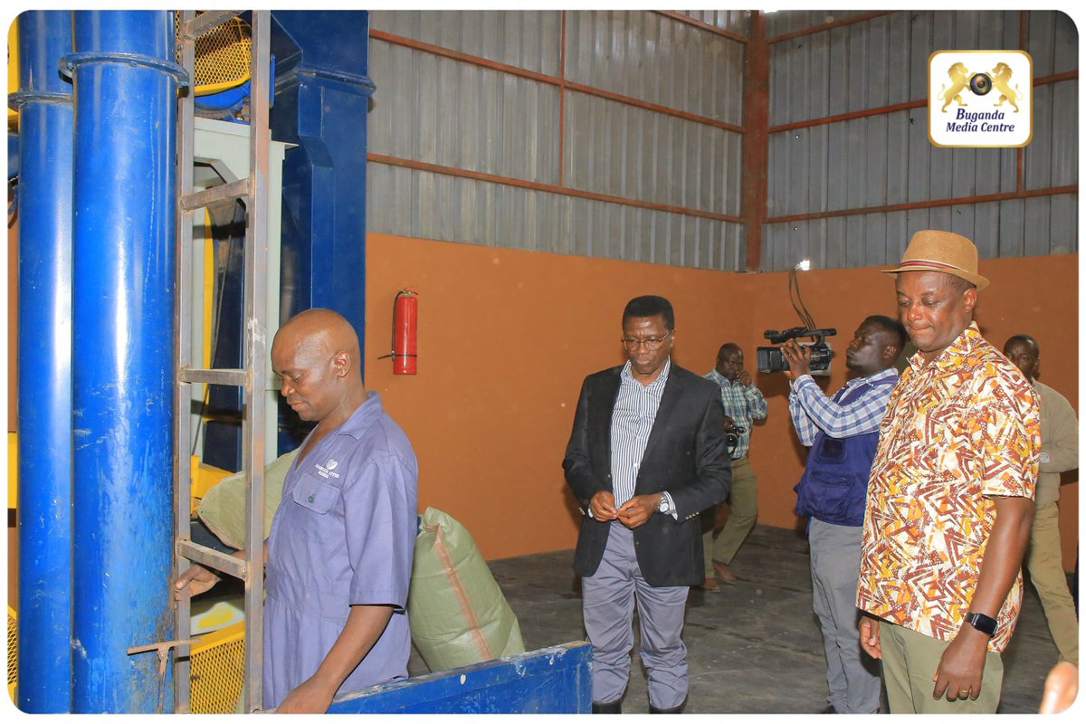 cpmayiga's tweet photo. Obulimi n'Obulunzi birimu ssente kasita owaayo obudde, wabula mpulira nnyo abantu abagamba nti okulima kuzibu, bangi ku bano bayingira obulimi n'obulunzi nga tebetegese kuwaayo budde kulambula bye balima.

Tewali kintu ky'oyinza kufunamu okuggyako ng'okyemaliddemu, kyetuva tukubiriza abantu okulimira ku mutindo basobole okufuna mu maanyi gaabwe.

Leero nnambudde Mw. Latima Kagimu Mukasa omulimi w'emmwanyi e Kabunyata, Kamira mu Bulemeezi, alina emmwanyi ku yiika 70 n'okusoba, alina n'ekyuma ekizisunsula ate mulunzi. Bino byonna abikolera wamu ne mukyala we n'abaana. Buli kyebakola bakolera ku mutindo era ebibala babirako kati. Kino kituzzaamu amaanyi.

Temulima kutuusa mukolo oba kugezaako, bw'osalawo okuyingira obulimi n'obulunzi malirira era okolere ku mutindo. #SitulaOmutindo
