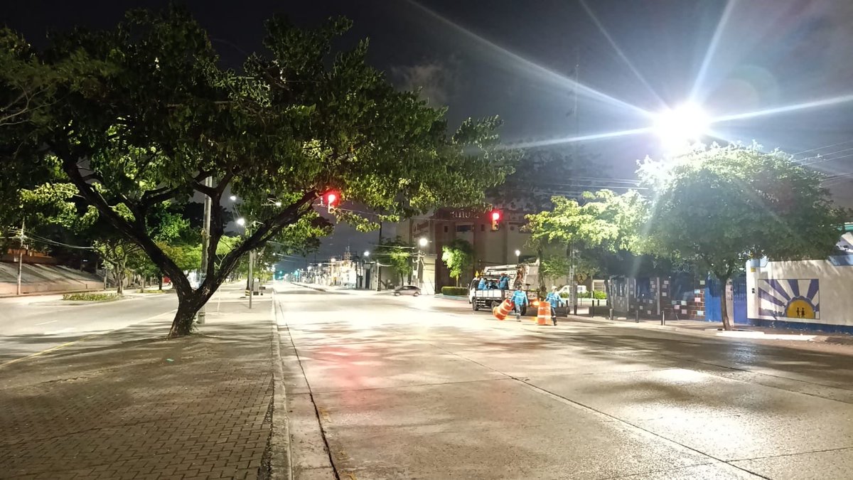 parquesgye's tweet photo. @Guayaquilsinle2 @181Responde @ObrasEnGYE Buenos días. Conforme a lo planificado en nuestro cronograma, se ejecutaron trabajos de aclareo en árboles ubicados en la calle Isidro Ayora.

Gracias por su reporte. Recuerda, ¡Un mejor Guayaquil lo construimos entre todos!
@alcaldiagye @taticoronelf https://t.co/sryQ5bc7ou