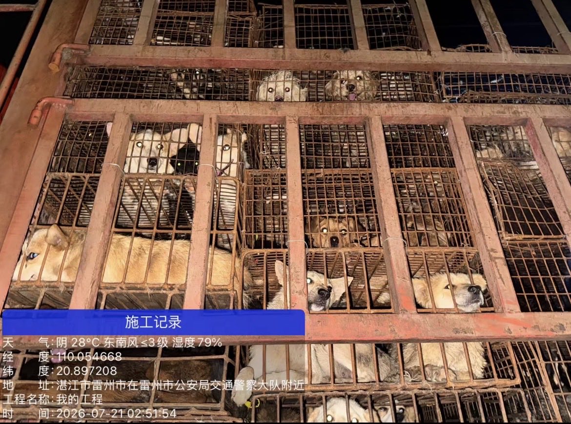 CNAnimalRightsAlert tweet media