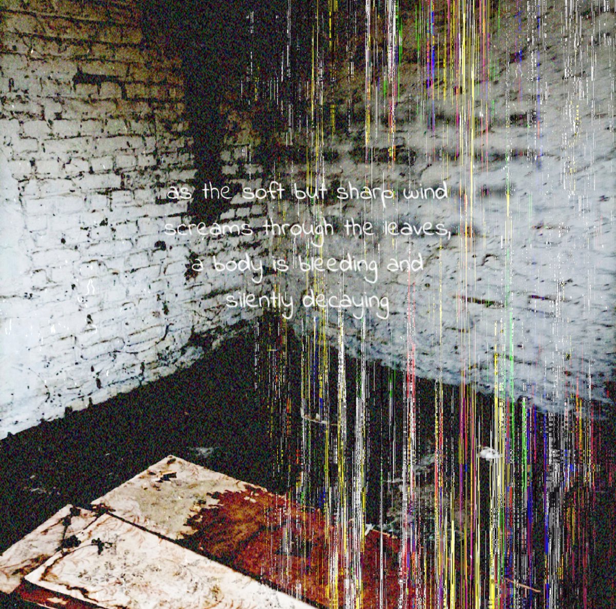 yuri_melonn's tweet photo. as the soft but sharp wind screams through the leaves, a body is bleeding and silently decaying.
#art #glitchart #poetry https://t.co/SXyCu8I5MX