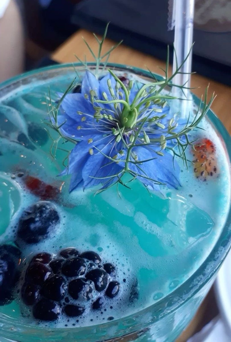 bossbabejass's tweet photo. Cocktail Tuesdays 😍 https://t.co/F7v47Mb81T