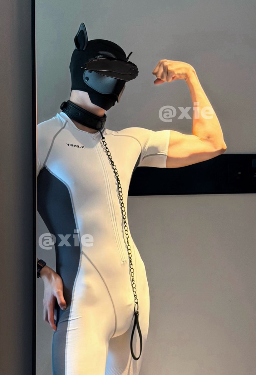 musclexspandex's tweet photo. 好像走丢了 谁来牵走 #xergy https://t.co/LVBddo4iFf