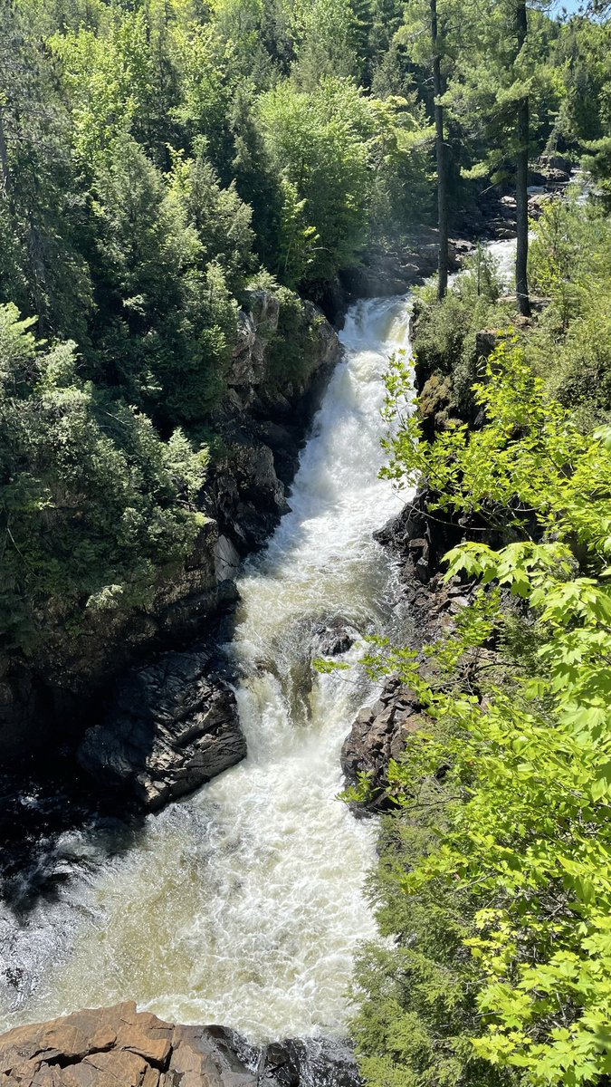 SayItValencia's tweet photo. Nature is my teacher.
It’s where life speaks through waterfalls, where trails become lessons, and mountains are mirrors.

It’s my home. My freedom. https://t.co/70OVQFtlyz
