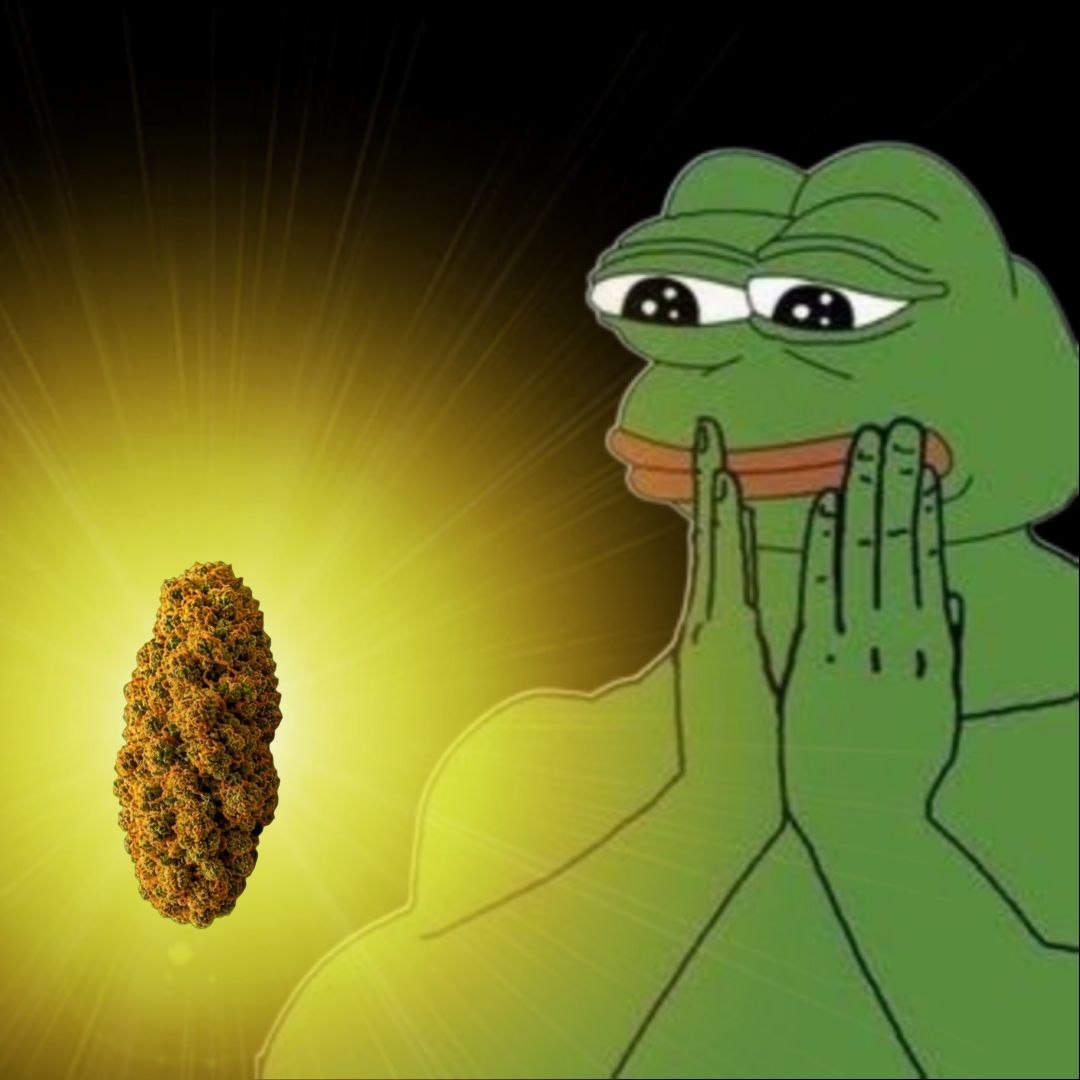 nuggies_NUG's tweet photo. I don't need therapy. I need Nuggies. https://t.co/fuRunZwahf
