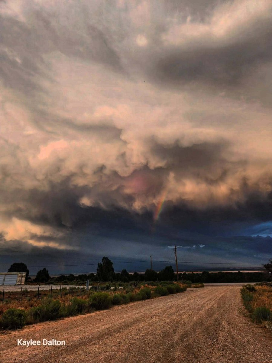 tvheidihatch's tweet photo. UPDATE: The U.S. Forest Service has confirmed lightning sparked the #BabylonFire on the Manti-La Sal National Forest.
The wildfire has burned more than 107,000 acres near the Dark Canyon Wilderness since it was first detected on June 26. As of Monday, it is 95% contained.
Investigators said the fire started after a series of lightning strikes on June 25. They found multiple lightning-struck trees and other evidence at the origin of the fire. Officials said investigators ruled out all potential human-caused ignition sources.
The Forest Service is reminding the public that lightning can ignite wildfires, even in remote areas, when conditions are hot, dry and windy.
Photo Kaylee Dalton
Babylon Fire, Monticello, Utah
