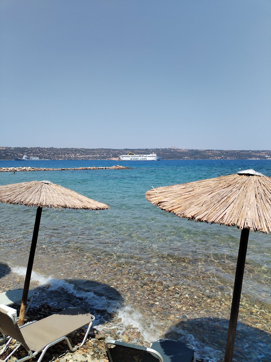 Sandy Chania tweet media