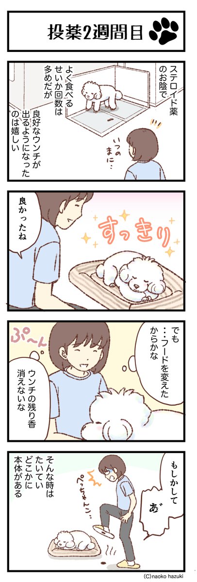 ransenosin's tweet photo. 投薬2週間目【577】〜「トイプードルことりとゆかいななかまたち」          

#トイプードル
#マンガの読めるハッシュタグ
#愛犬がいる幸せ
#四コマ漫画 https://t.co/2Q46KU0VW7