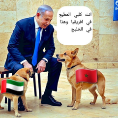 DamesRabeh's tweet photo. @Octobr21 @wisamnayasin ان يكون ايرانيا اشرف واطهر من ان يكون متصهينا طائفي مثلك يرى تصرفات الاسوياء غير طبيعية https://t.co/lk6oNxuNyI