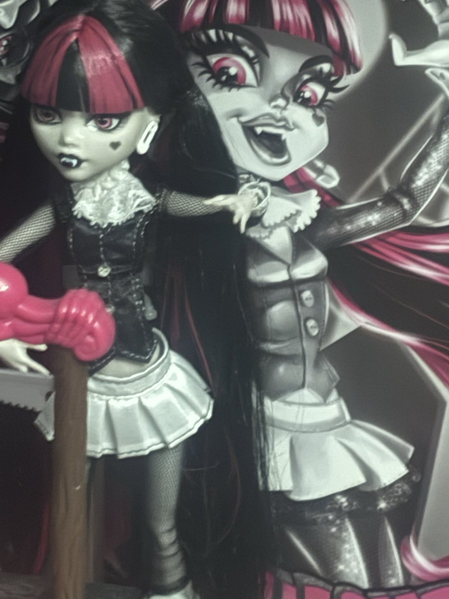 RealaTheNightma's tweet photo. @harley_steinn tho if it make you feel bit better I can show my Monster High Reel Drama Draculaura Doll so I kinda hope you like it https://t.co/JLvJ84bnbf