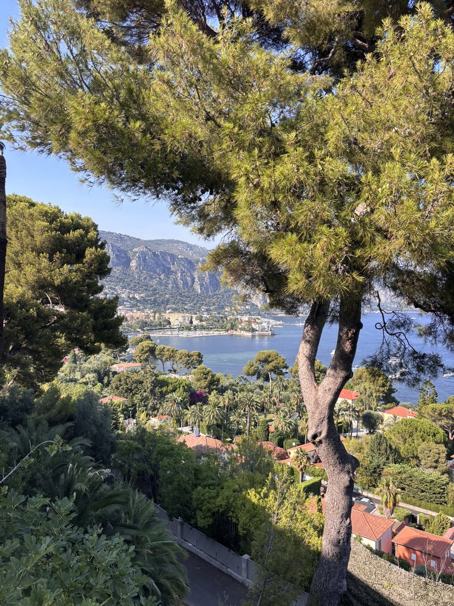 ysinme's tweet photo. in love with the mediterranean sea https://t.co/MmbE2X7rRR
