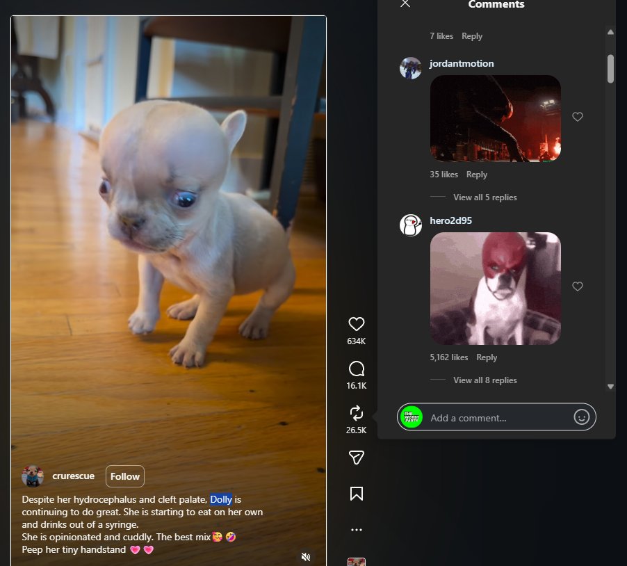 sch4079's tweet photo. This little puppy has mega blown up on Instagram, with 6M views just on this post.
Meet Dolly she has hydrocephalus and cleft palate, causing her to have a really big head/brain and people have literally turned her into a meme, there's so many memes in posts comments.
https://t.co/AGfP2oLSa6
