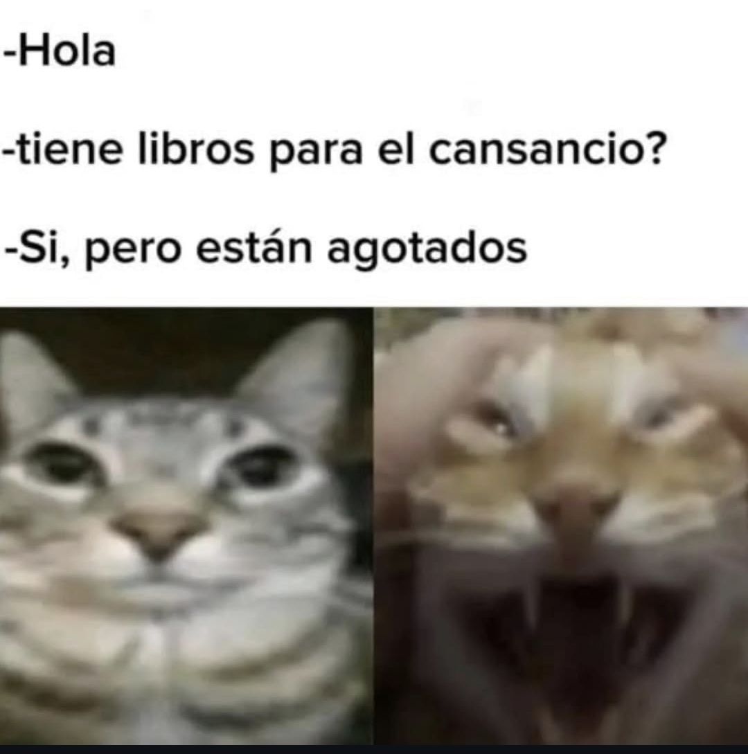 wikipistacho's tweet photo. https://t.co/OyGK0xPcfE