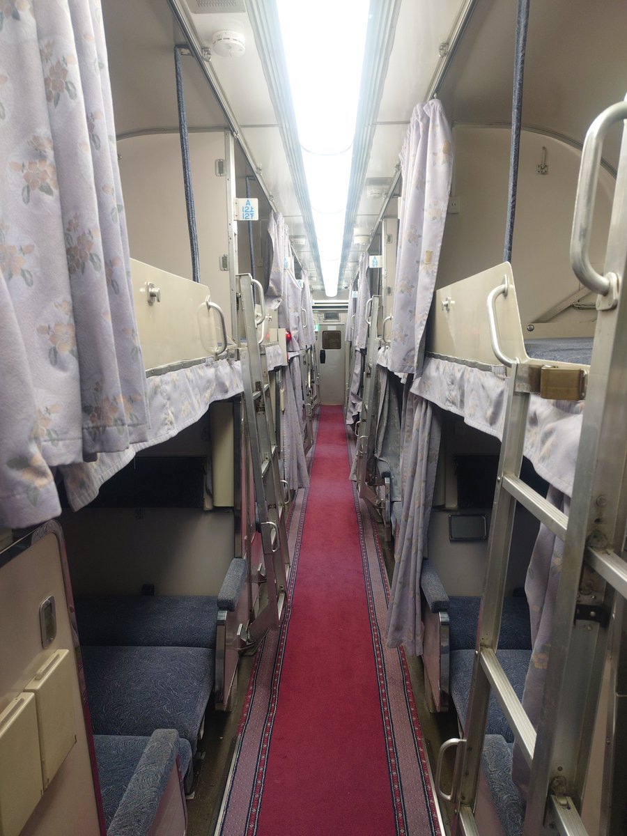 todatsu_'s tweet photo. 岩泉のブルートレイン日本海。
現役時代乗れなかったA寝台に宿泊した。
他に宿泊者がいなくて貸切だったのと当時の雰囲気を感じ取れたので良かった。
天気の悪さと山奥ゆえに虫がたくさんいたのは参ってしまった。
秋〜冬の晴れた日とかなら快適かも？？ https://t.co/0G2UwCPC5s