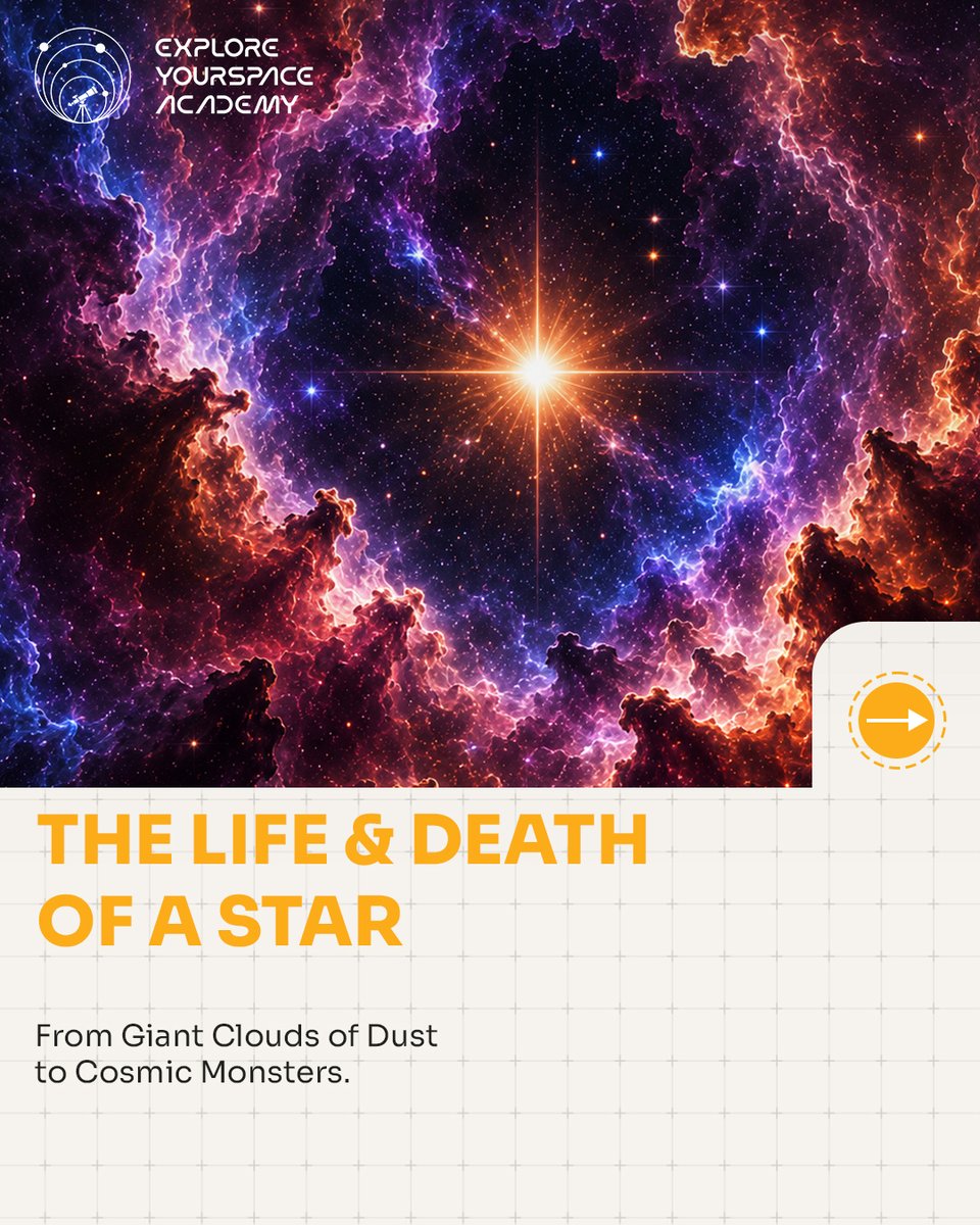 ExploreYSpace's tweet photo. A star's fate depends on its mass! ⚖️ Massive stars live fast &amp; die spectacularly: cosmic dust ➡️ supergiant ➡️ supernova ➡️ Black Hole. 🕳️🌀

The iron in your blood? Forged in a supernova blast. You're literal star stuff! ✨

Follow Explore Your Space Academy! #Astrophysics https://t.co/YH3KCCLynl
