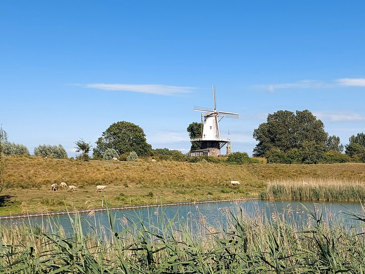boon_jos's tweet photo. #vrtweer Jos Boon Rotselaar 14u07 https://t.co/1Cha2rrLWQ