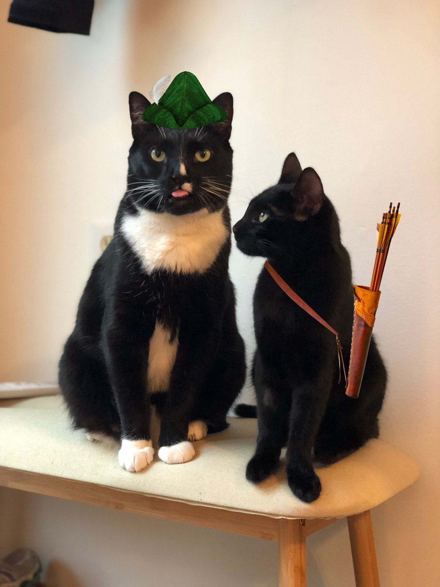 kevindgreatt's tweet photo. @Eljaboom Check out $MEOWOOD community is bullish and building long term here on Robinhood chain ⛓️‍💥 DYOR, don’t fade @meowood_token 

0x3018E275Da8D1acD16E7B803e74FcA9c251fd60f https://t.co/ZIMc1difuc