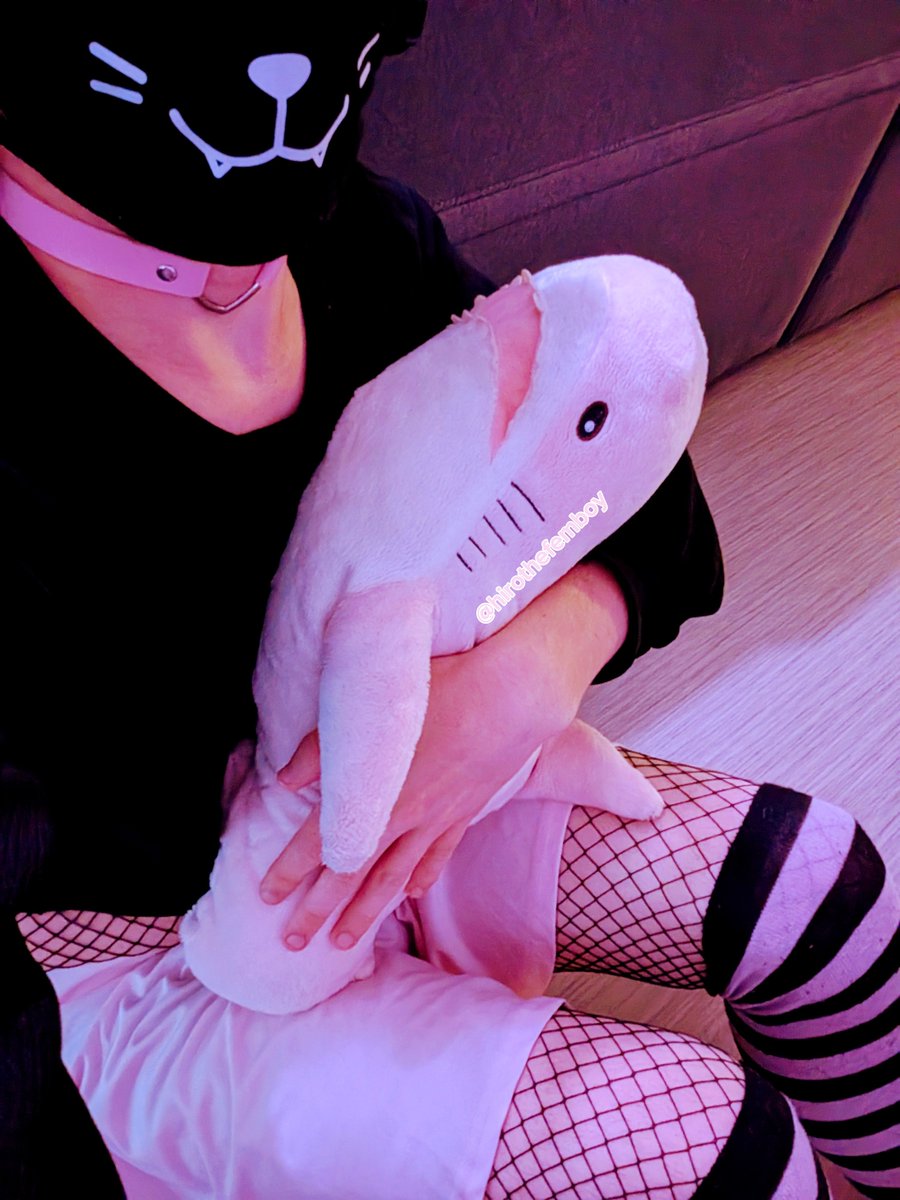 hirothefemb's tweet photo. Chilling with my friends~~ 
.
.
.
#femboy #frenchfemboy #blahaj https://t.co/zYyGx4AzZ0