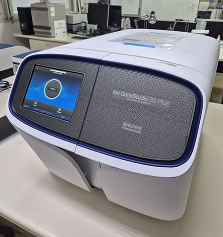 Lab_Network's tweet photo. Nova tecnologia de sequenciamento genético amplia pesquisas em trigo

Análises moleculares e seleção assistida aceleram o desenvolvimento de cultivares resistentes à brusone, uma das principais ameaças ao trigo no Brasil. Confira aqui: https://t.co/cnEAB7EaUB https://t.co/VhpkBe7bPR