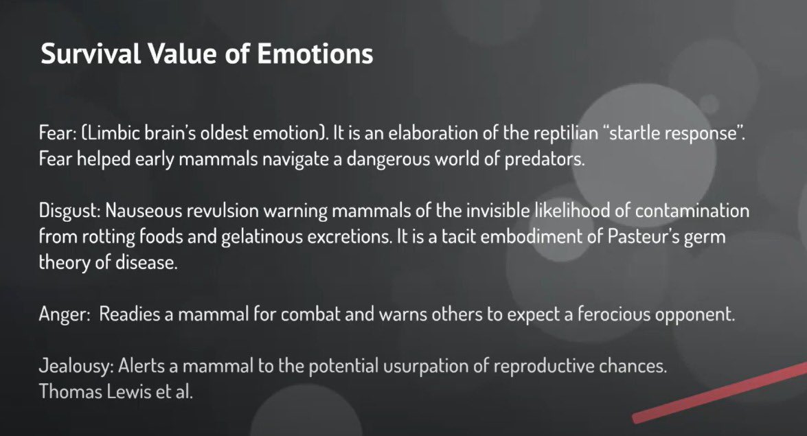 kivancemaloglu's tweet photo. I can spend my entire life understanding and thinking about evolution https://t.co/0ZyeBVeAUK