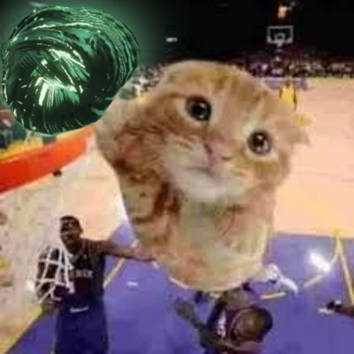 LukeCB14's tweet photo. Today is national respect LukeCB14 day. https://t.co/8MTRKkS4H8