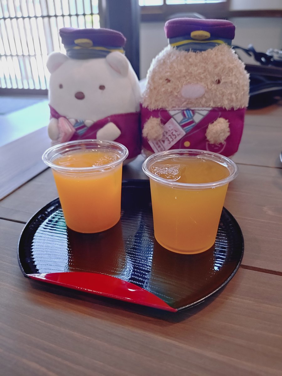 🍊ジュースと🍑ジュース (果実酒です)