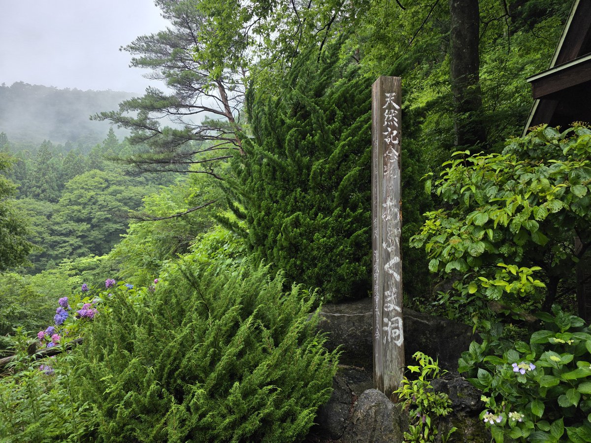 Kenken_C516's tweet photo. 7月12日～14日の2泊3日で福島・仙台へ旅行に行って参りました！これはその初日の様子です！お昼ご飯は阿武隈高原PAにて喜多方ラーメンを食べました！その後にあぶくま洞へ行きました！何と中の気温は12℃でした！めっちゃ涼しかった！夜ご飯はいわき駅のラトブにある十割そば｢会｣で蕎麦食べました！ https://t.co/ZjcxhXrvAX