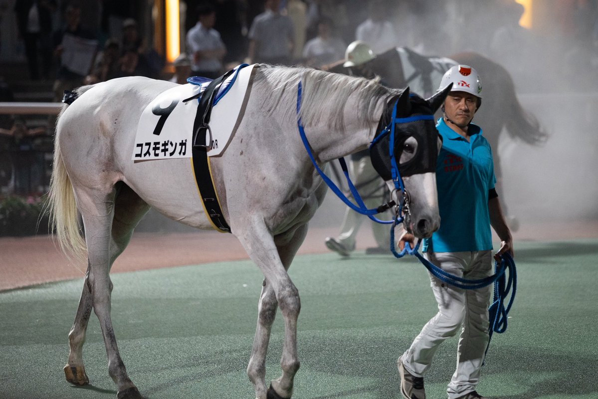 nekotouma88's tweet photo. 2026.7.21
大井競馬場10R
わし座特別
コスモギンガ
ゴールドシップ産駒
小野寺厩舎
田中洸多騎手 https://t.co/ncipLDre96