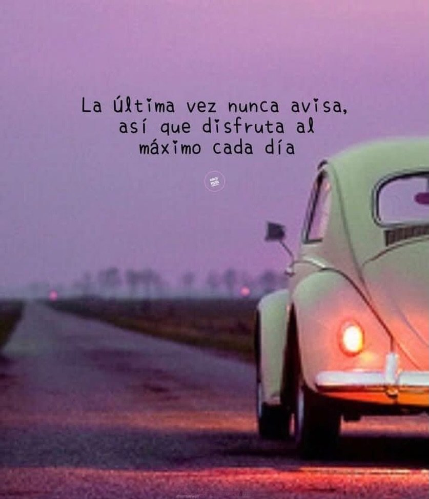 El_abuacatit0's tweet photo. ✨ https://t.co/OHHPwhCZGw